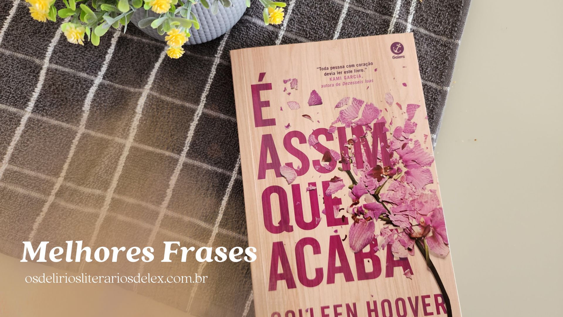 11 Mais Impactantes Frases do Livro É Assim que Acaba